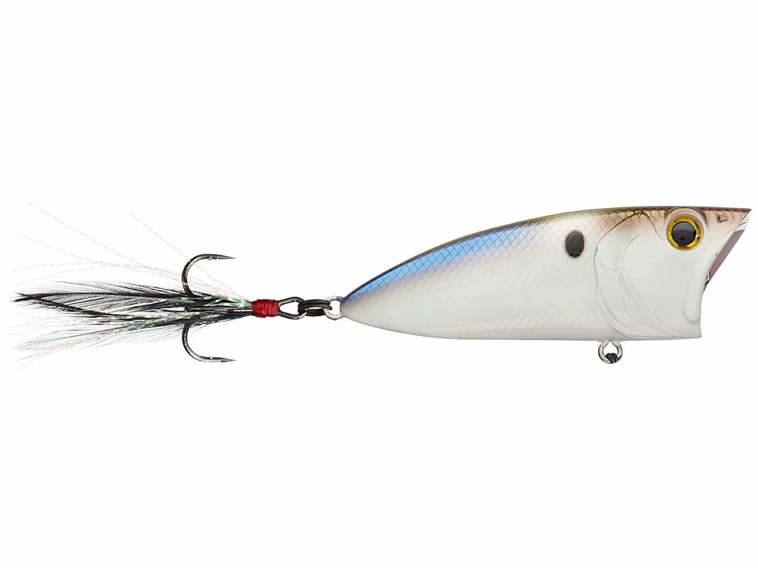 6th Sense - SplashBack Popper