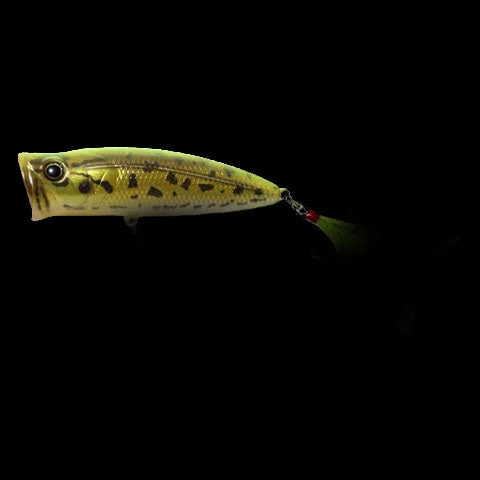 Deps Pulsecod Jr.