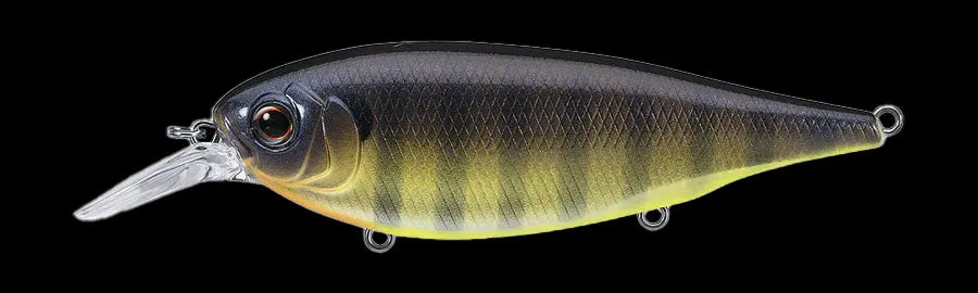 Evergreen X-Over Shad