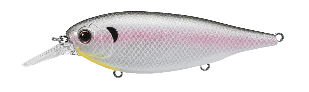 Evergreen X-Over Shad