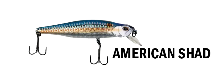 G-Ratt JERK BAIT GB-100 SP