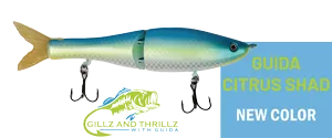 G-Ratt Sneaky Pete