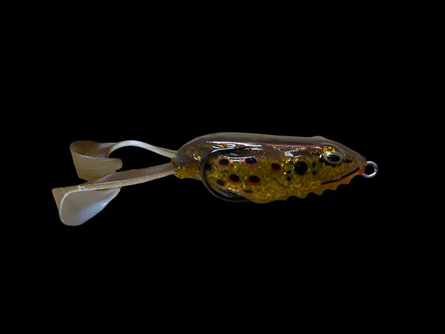 Hag's Outlier Swimming Frog