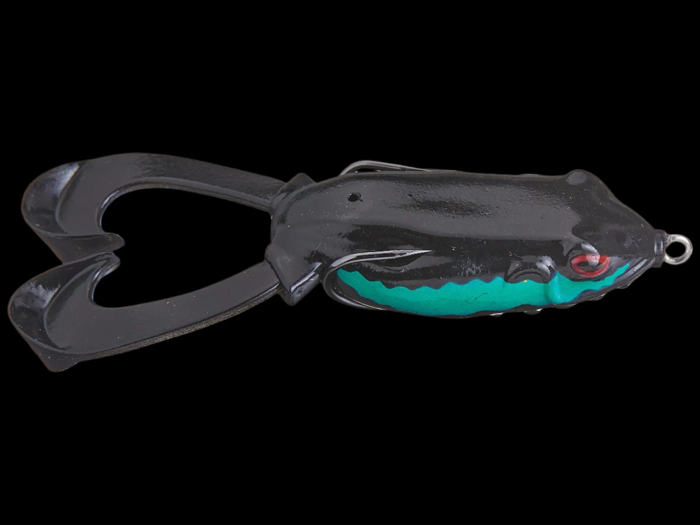 Hag's Outlier Swimming Frog