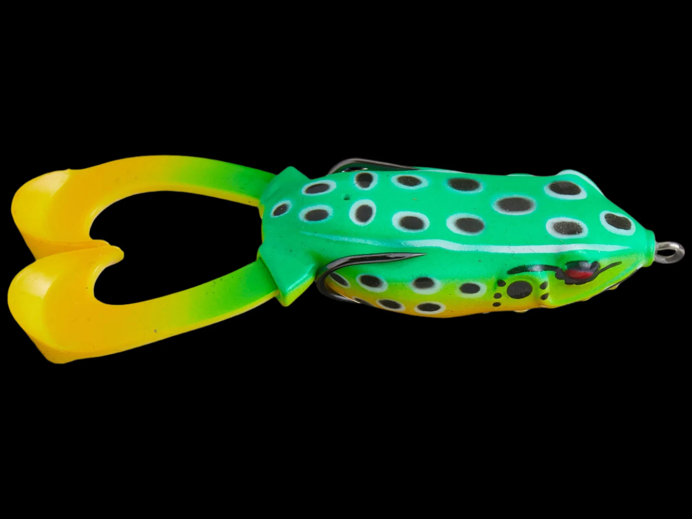 Hag's Outlier Swimming Frog