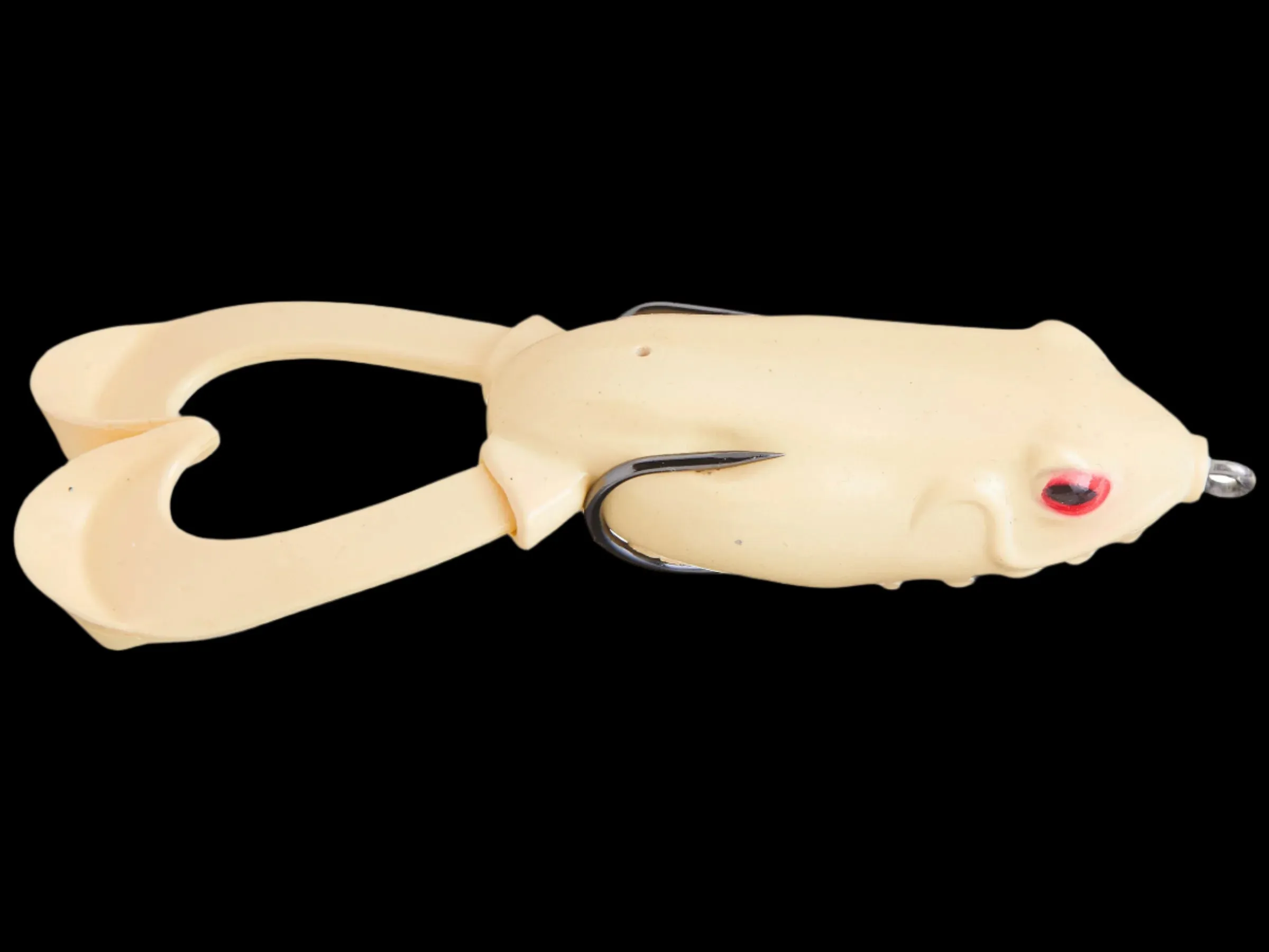 Hag's Outlier Swimming Frog