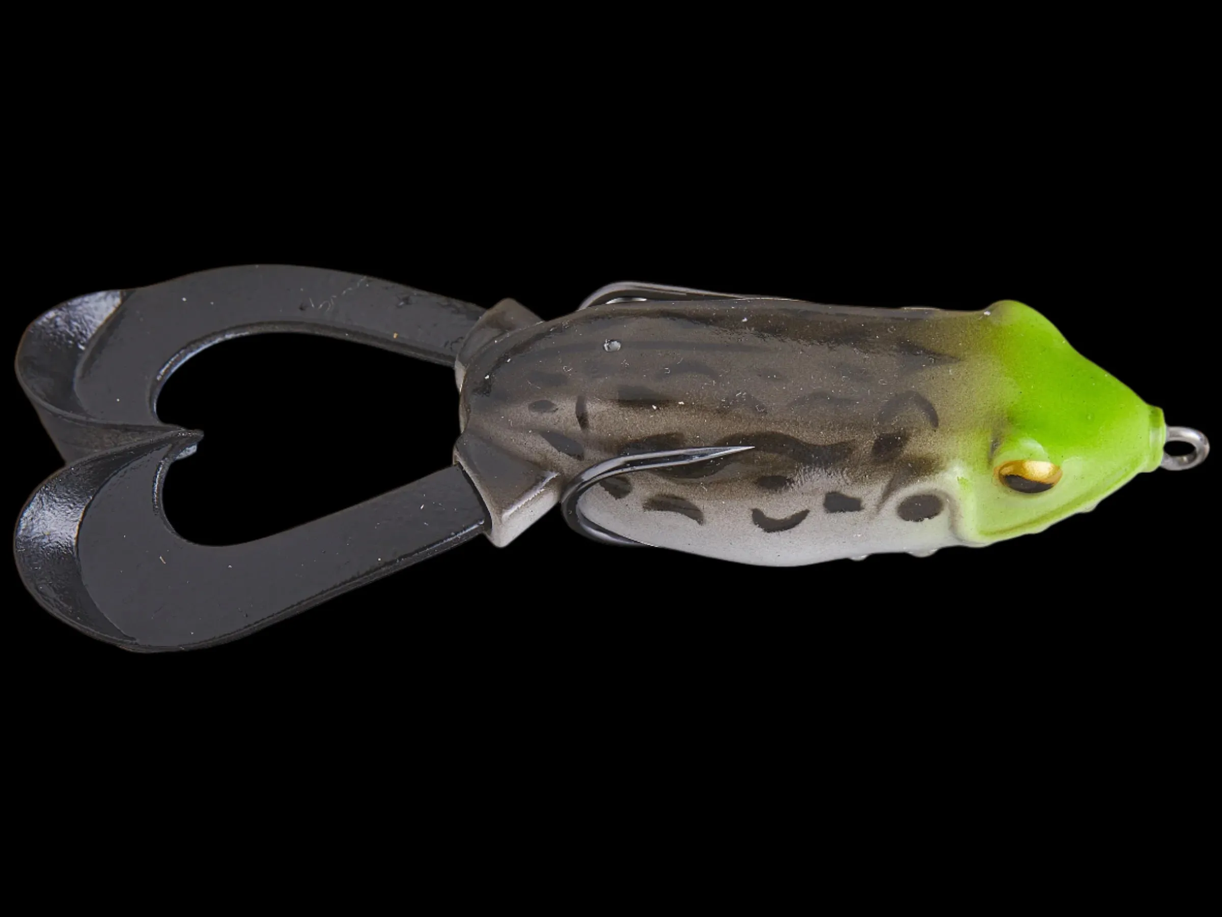 Hag's Outlier Swimming Frog