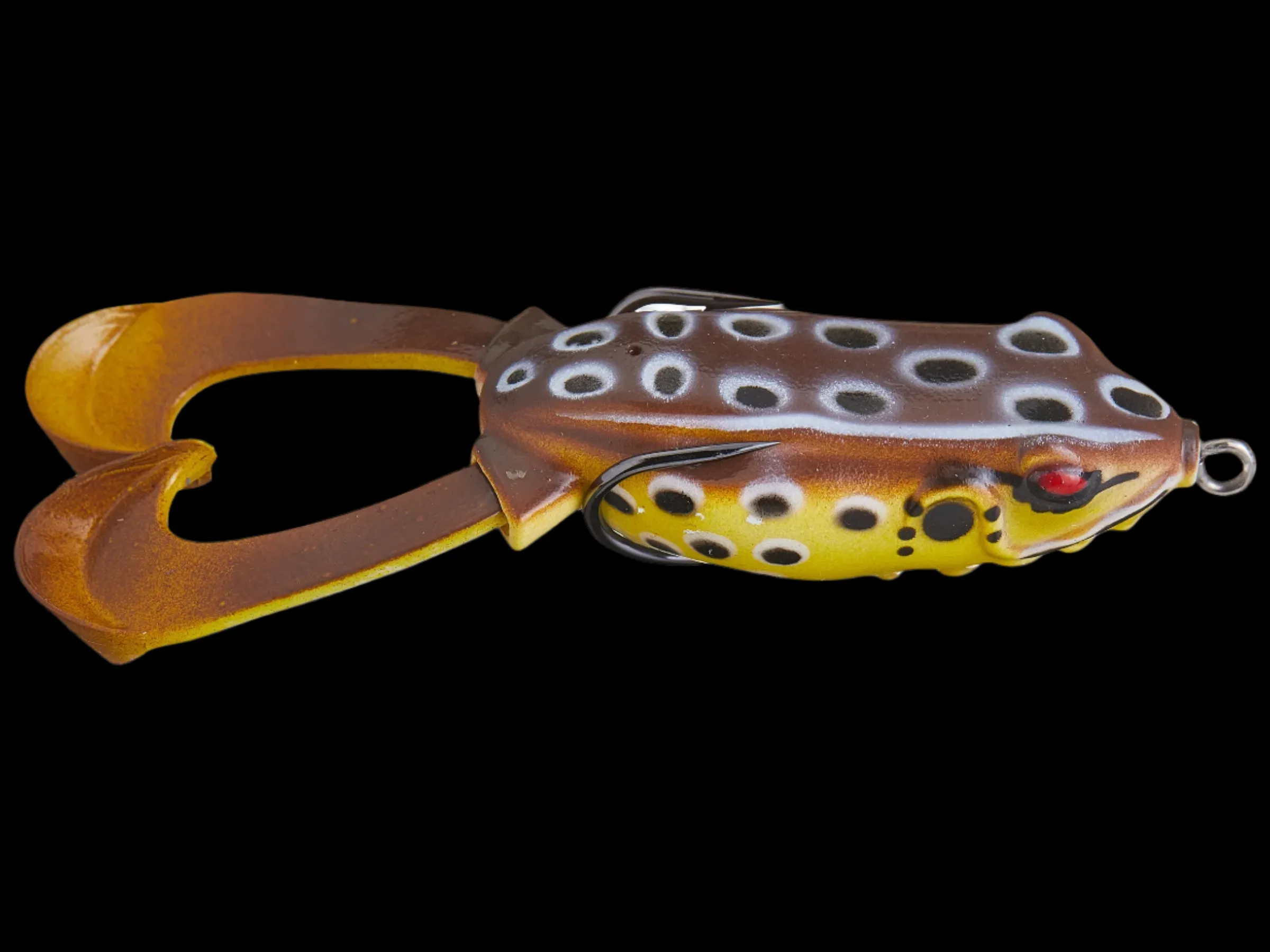 Hag's Outlier Swimming Frog