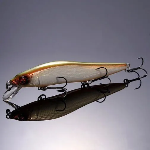 Megabass Vision 110