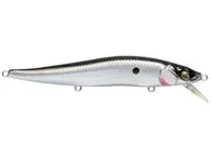 Megabass Vision 110