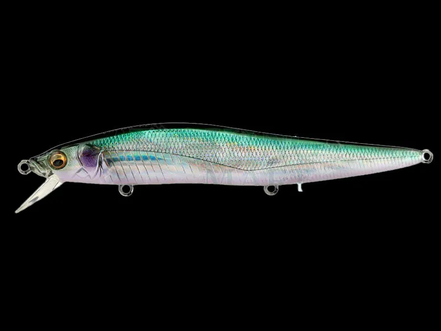 Megabass Vision 110