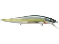 Megabass Vision 110