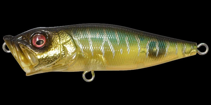Megabass Pop-X