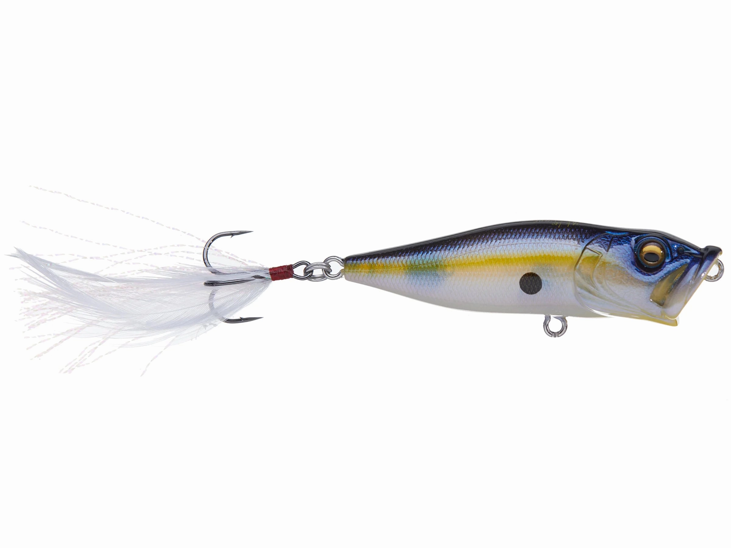Megabass Pop-X