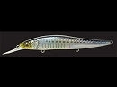 Megabass Vision 110  1