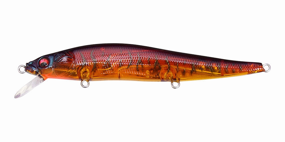 Megabass Vision 110  1