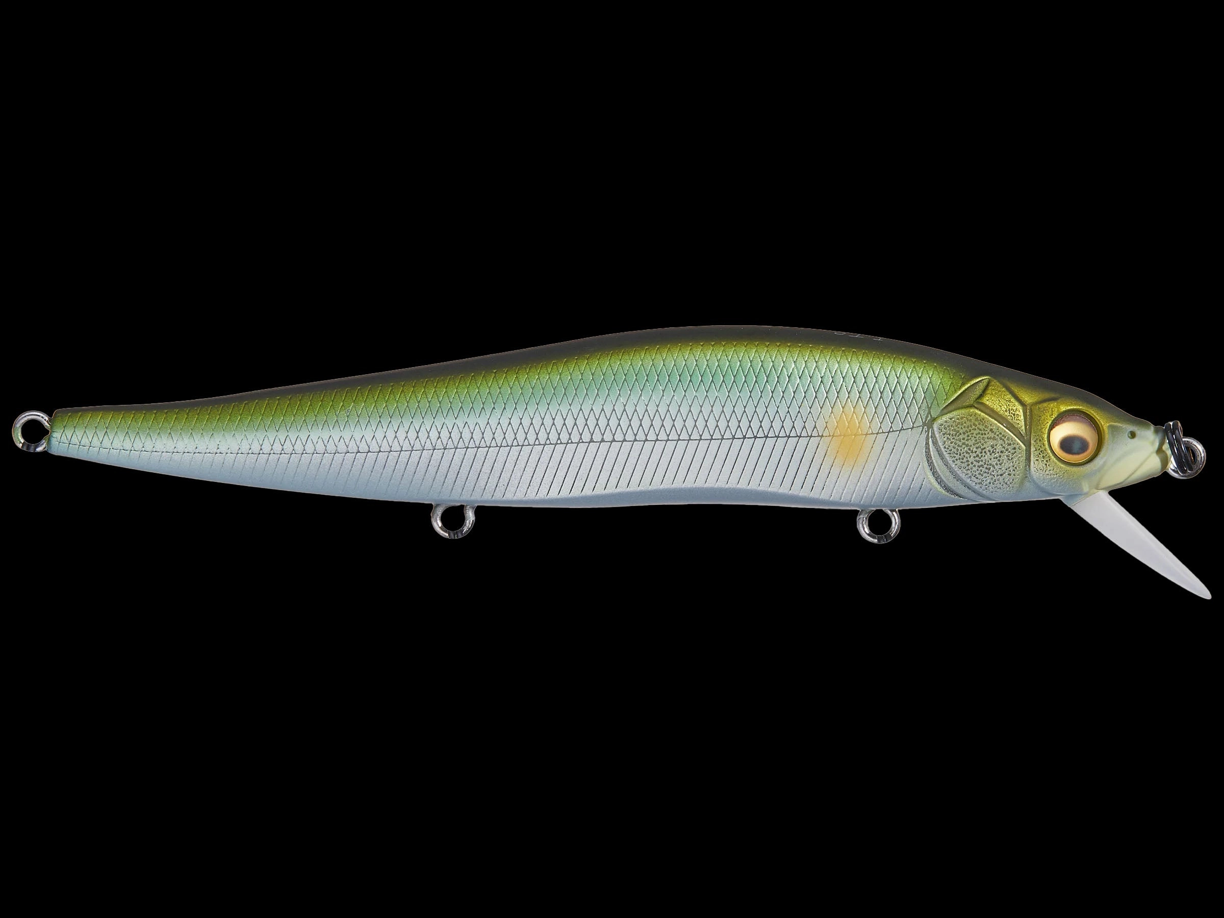 Megabass Vision 110
