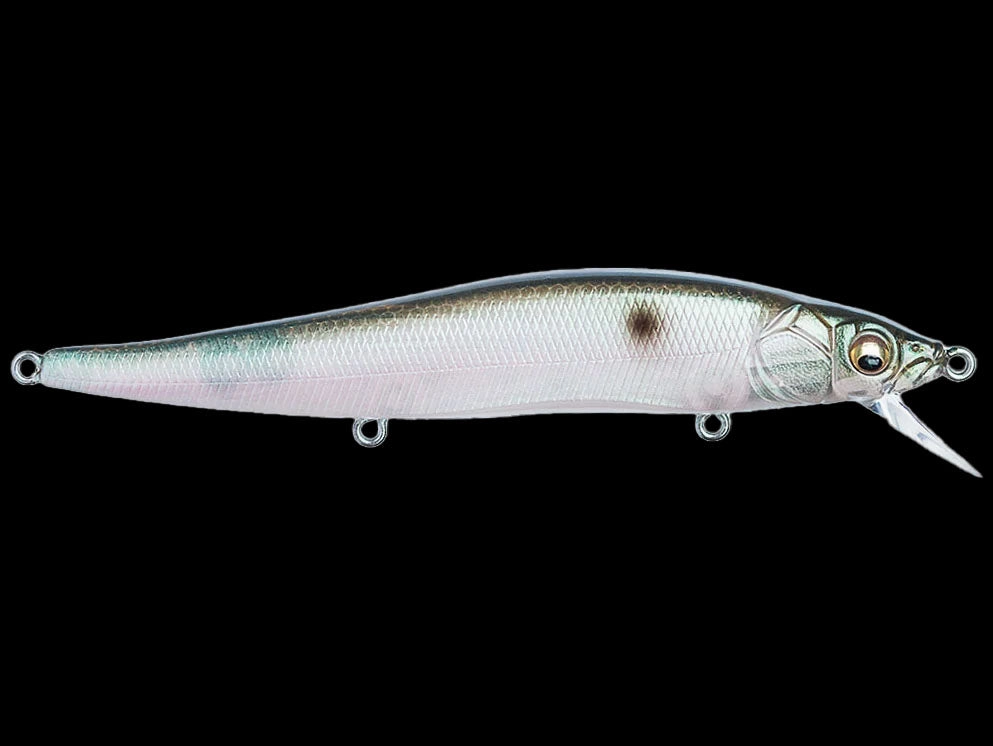 Megabass Vision 110