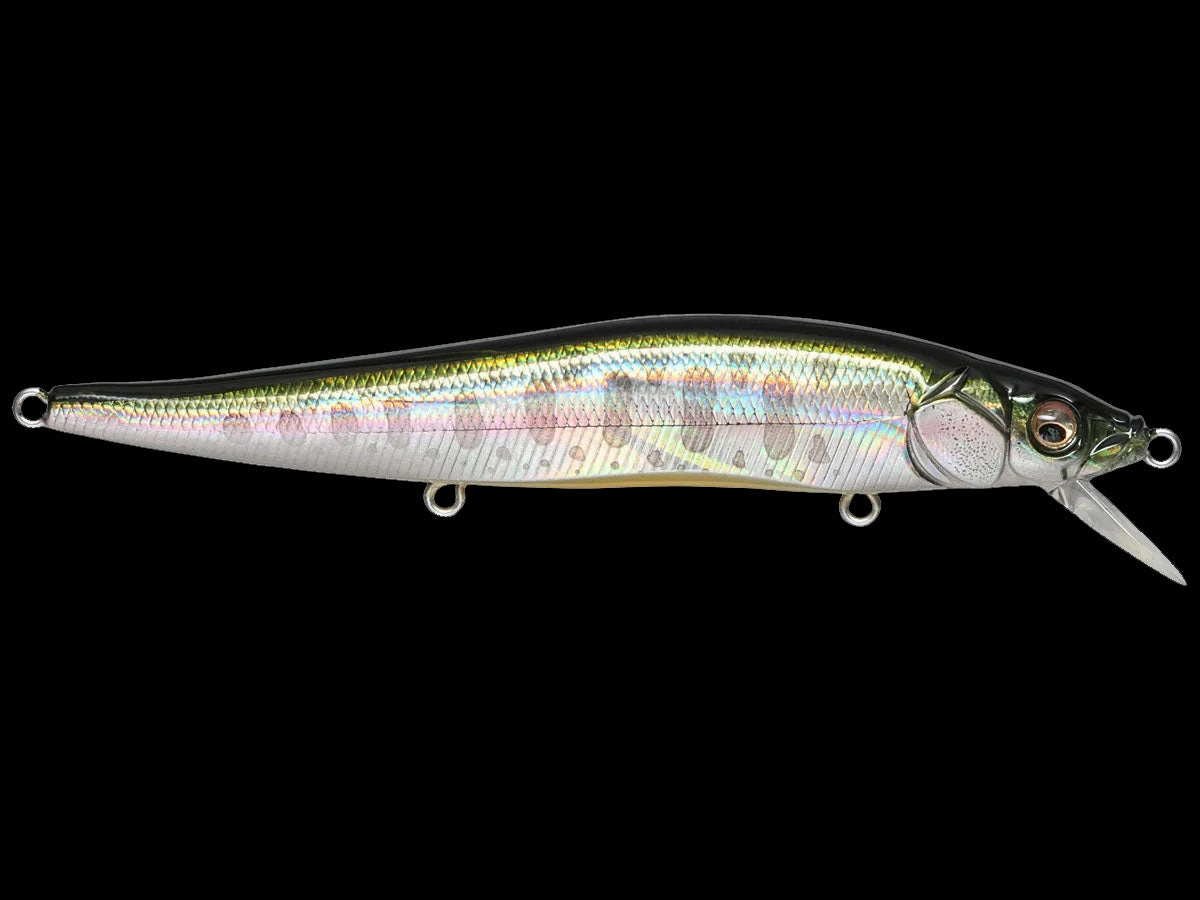 Megabass Vision 110