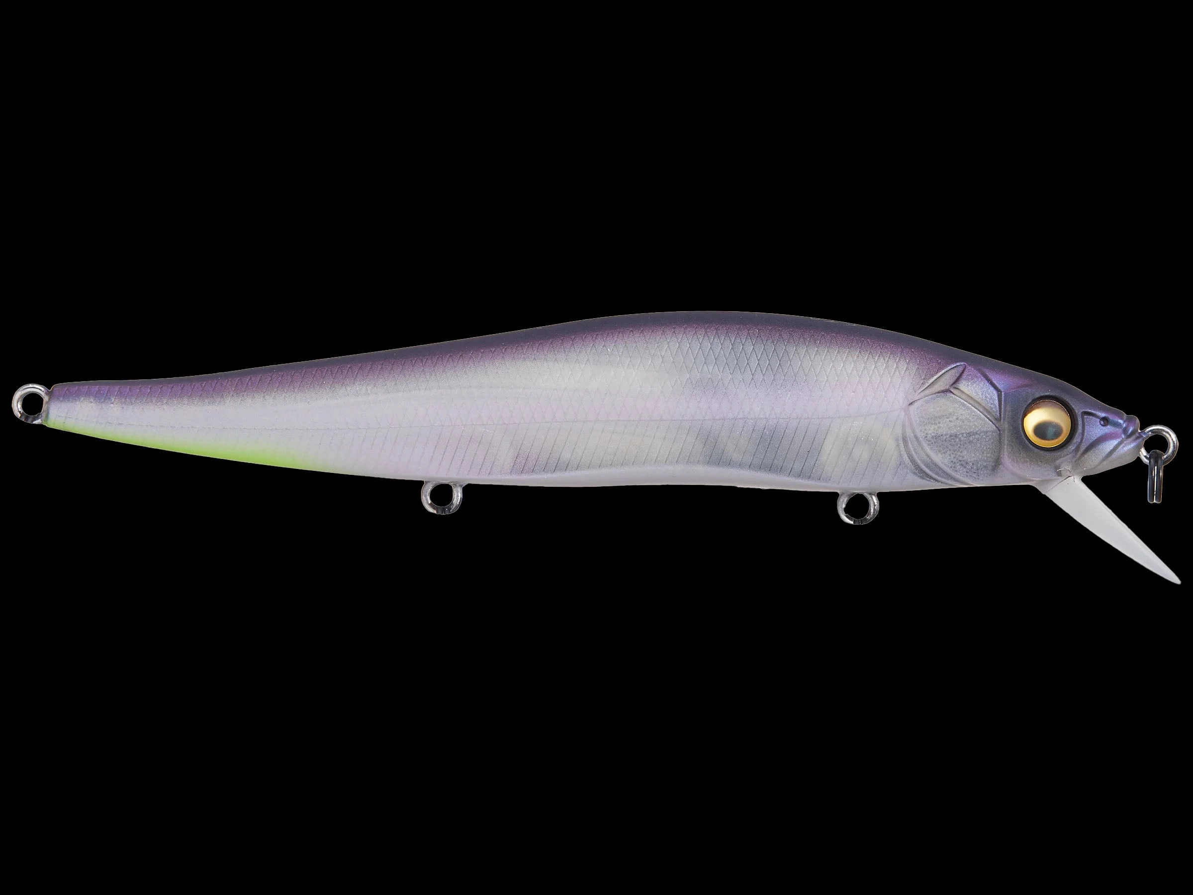 Megabass Vision 110