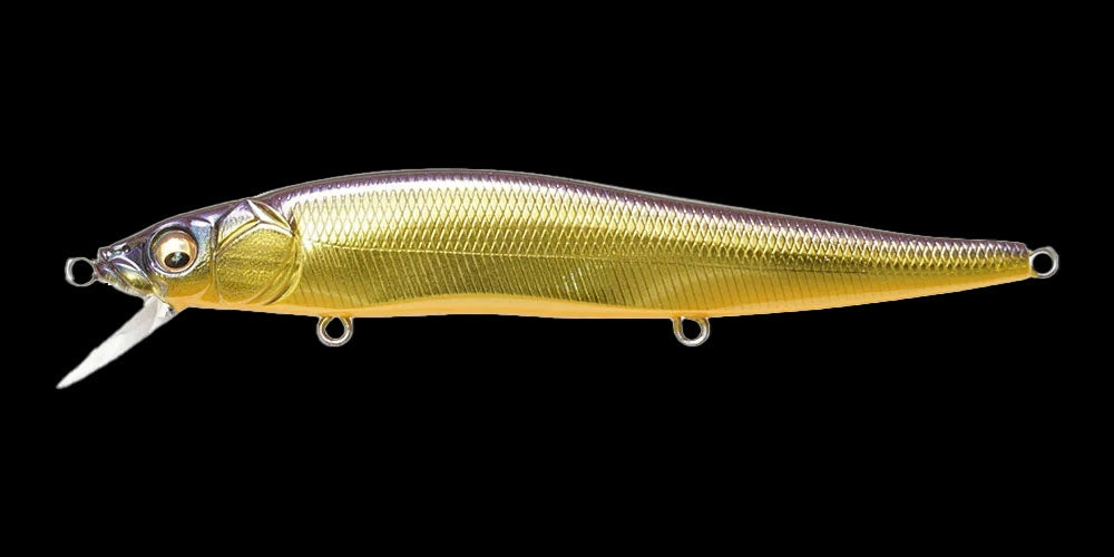 Megabass Vision 110
