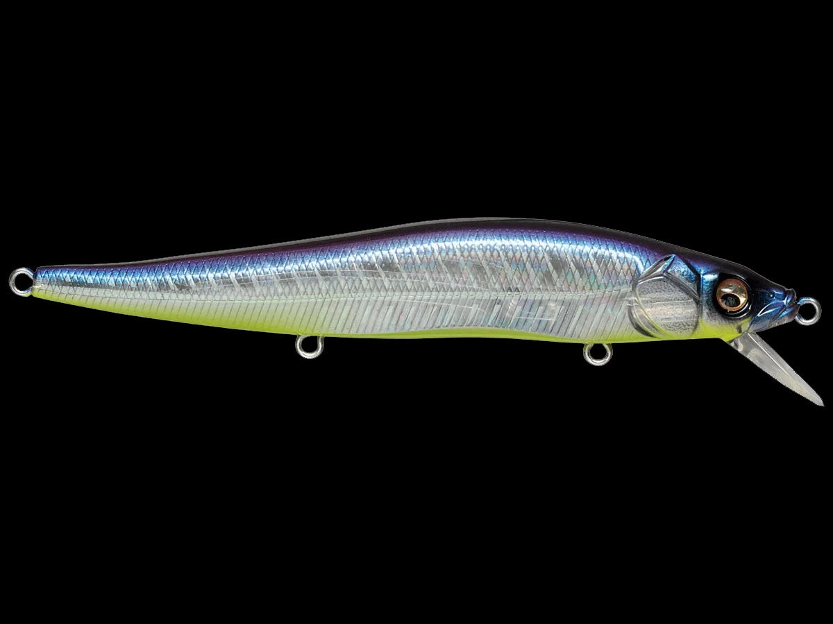 Megabass Vision 110