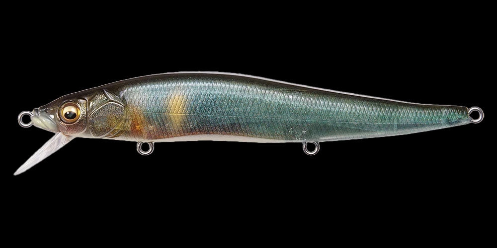 Megabass Vision 110
