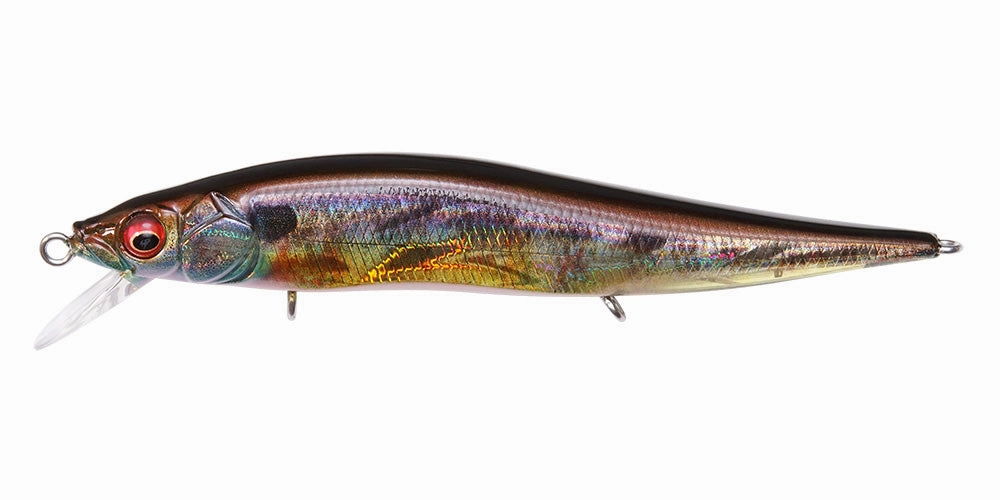 Megabass Vision 110 Jr