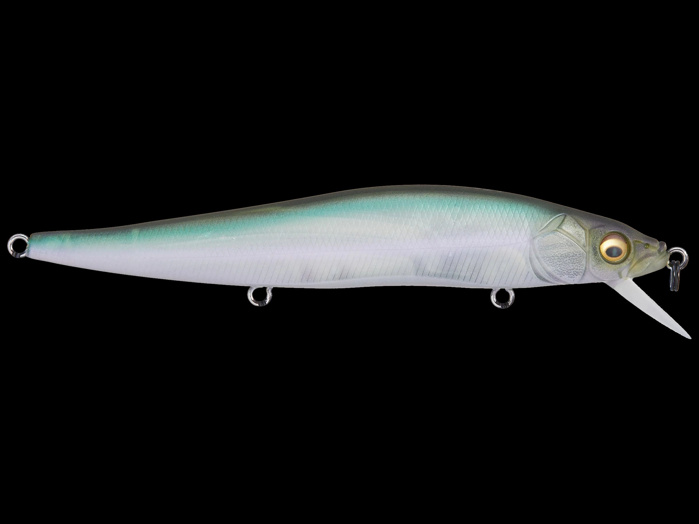 Megabass Vision 110