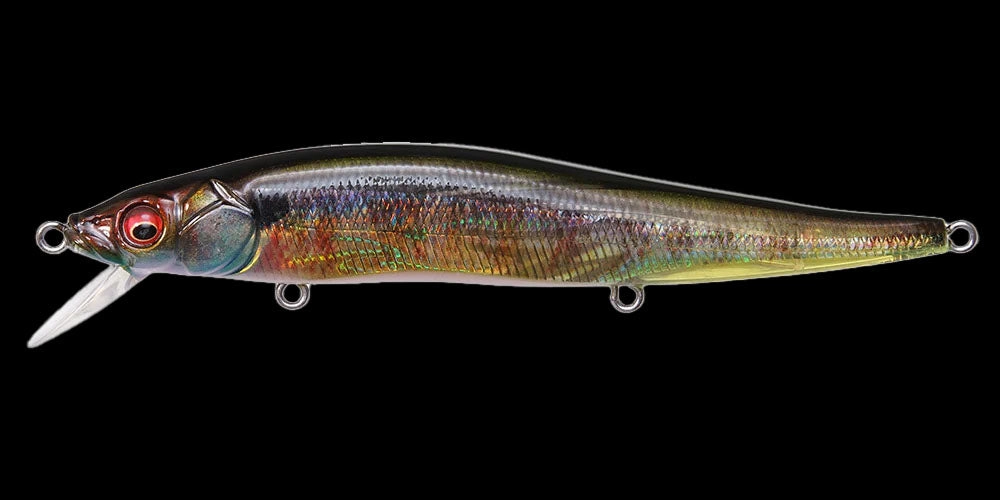 Megabass Vision 110