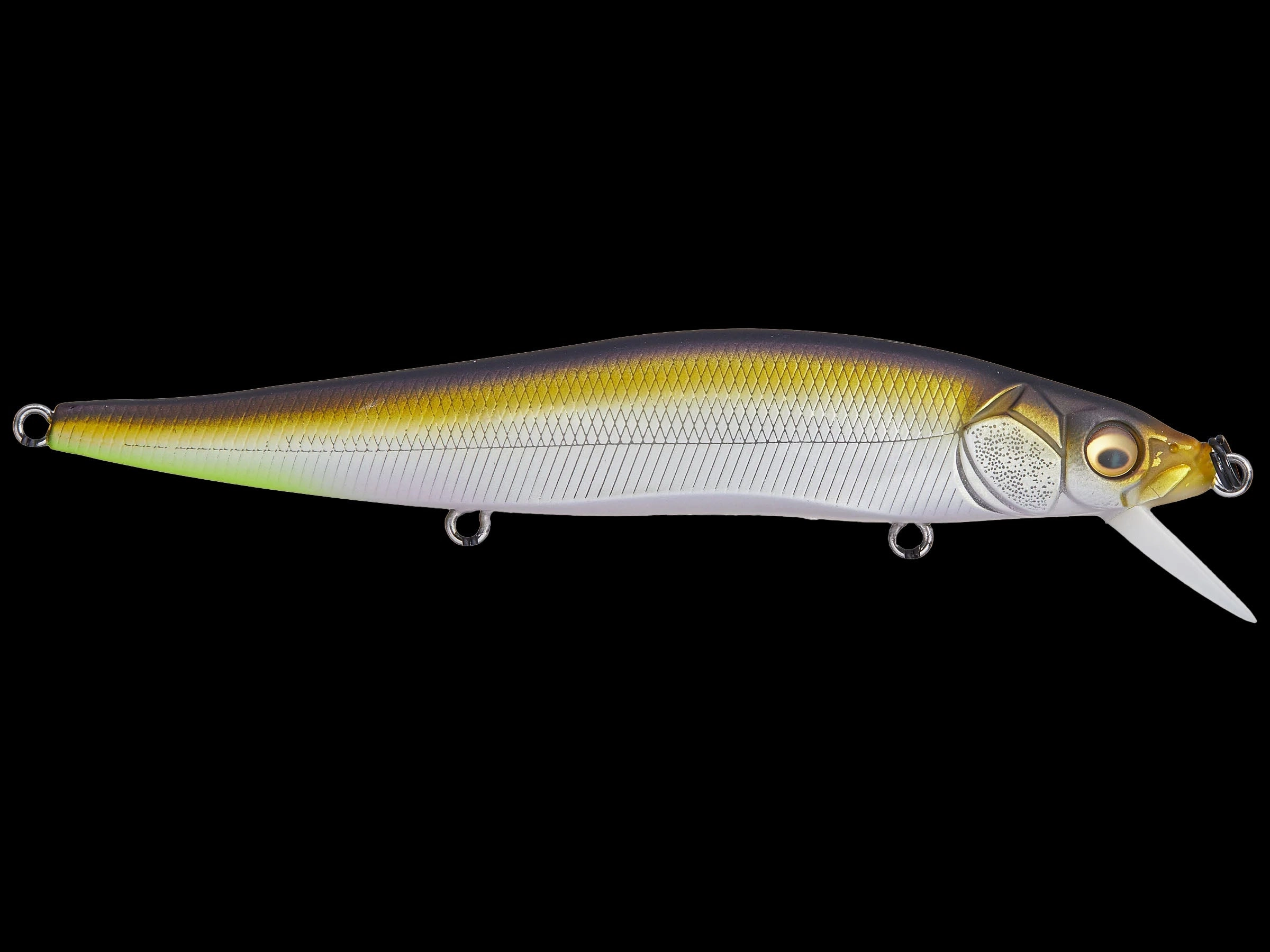 Megabass Vision 110