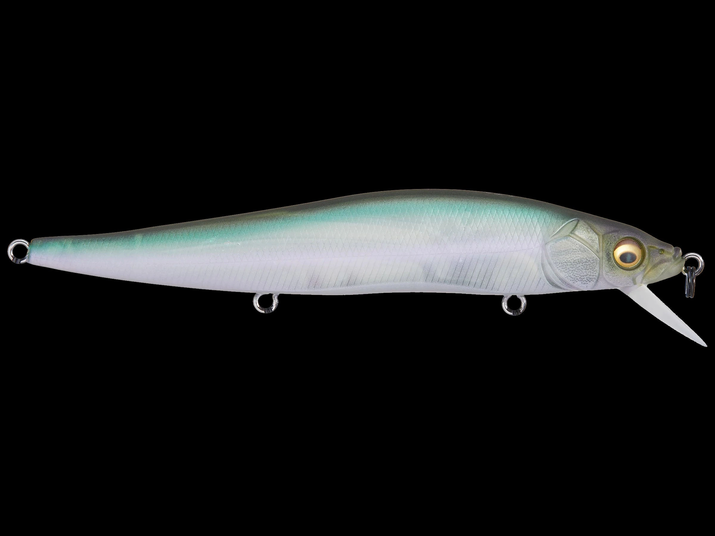Megabass Vision 110