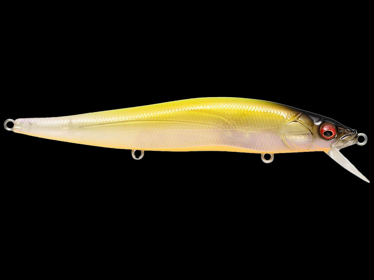 Megabass Vision 110