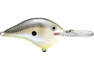 Rapala DT Series Crankbaits DT-6