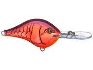 Rapala DT Series Crankbaits DT-6