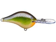 Rapala DT Series Crankbaits DT-6