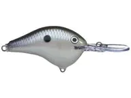 Rapala DT Series Crankbaits DT-8