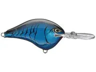 Rapala DT Series Crankbaits DT-8
