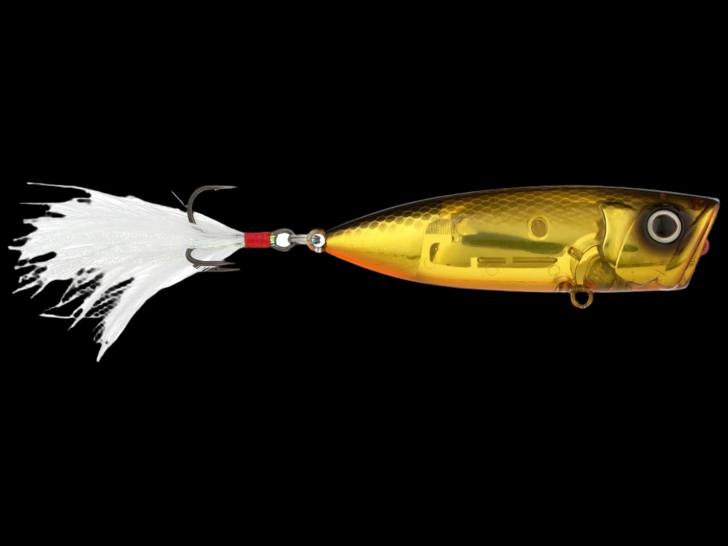 Shimano World Pop 69F Popper