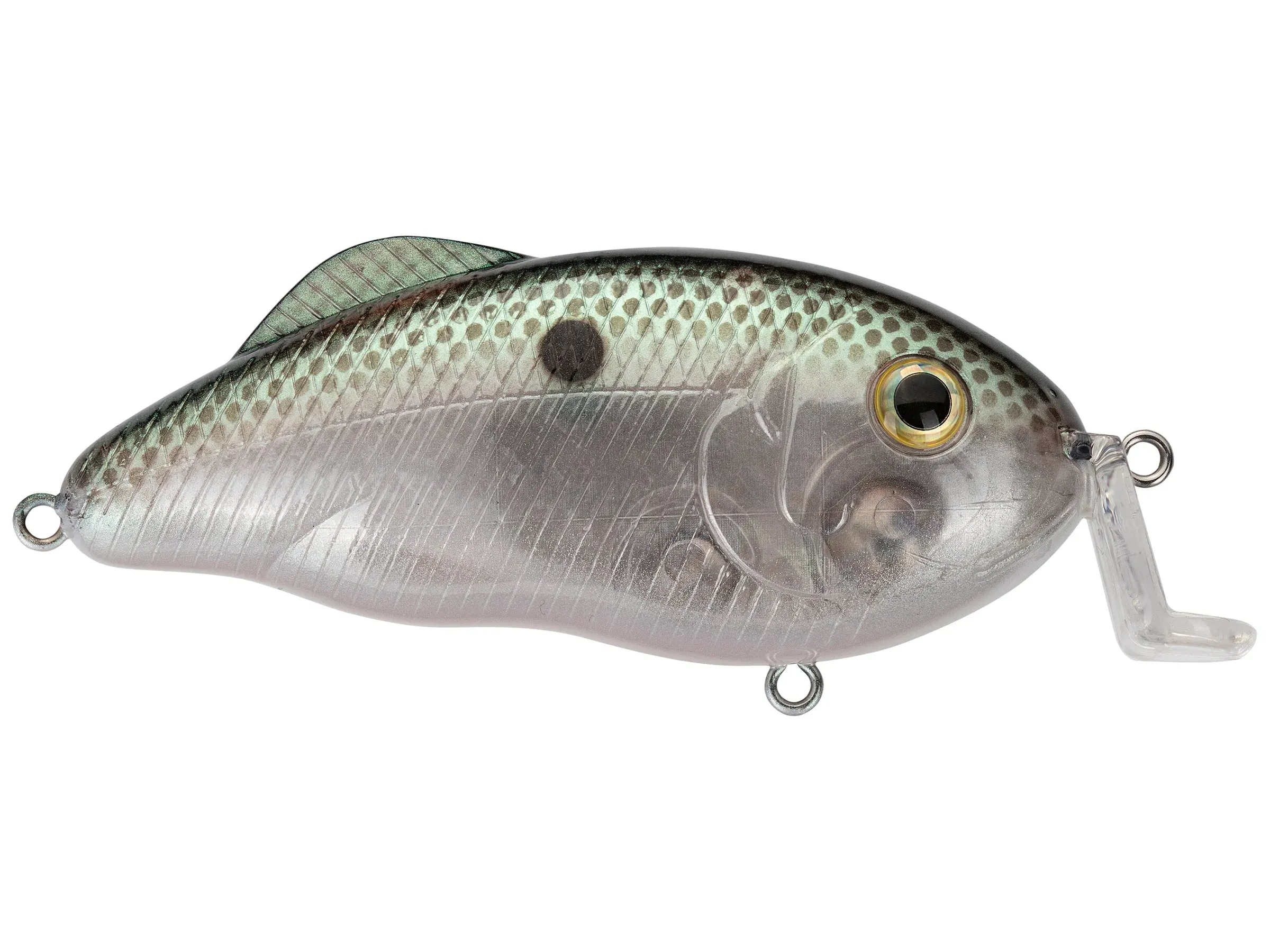 Strike King Hybrid Hunter Crankbait